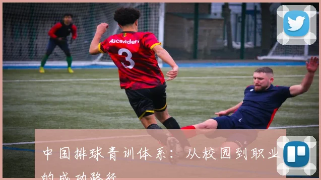 中国排球青训体系:从校园到职业的成功路径