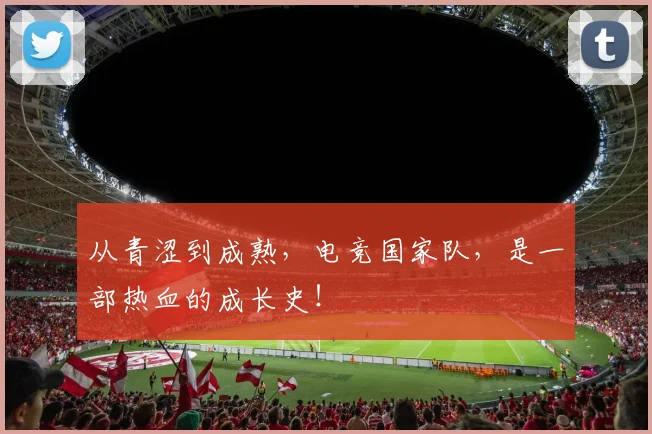 从青涩到成熟,电竞国家队,是一部热血的成长史!